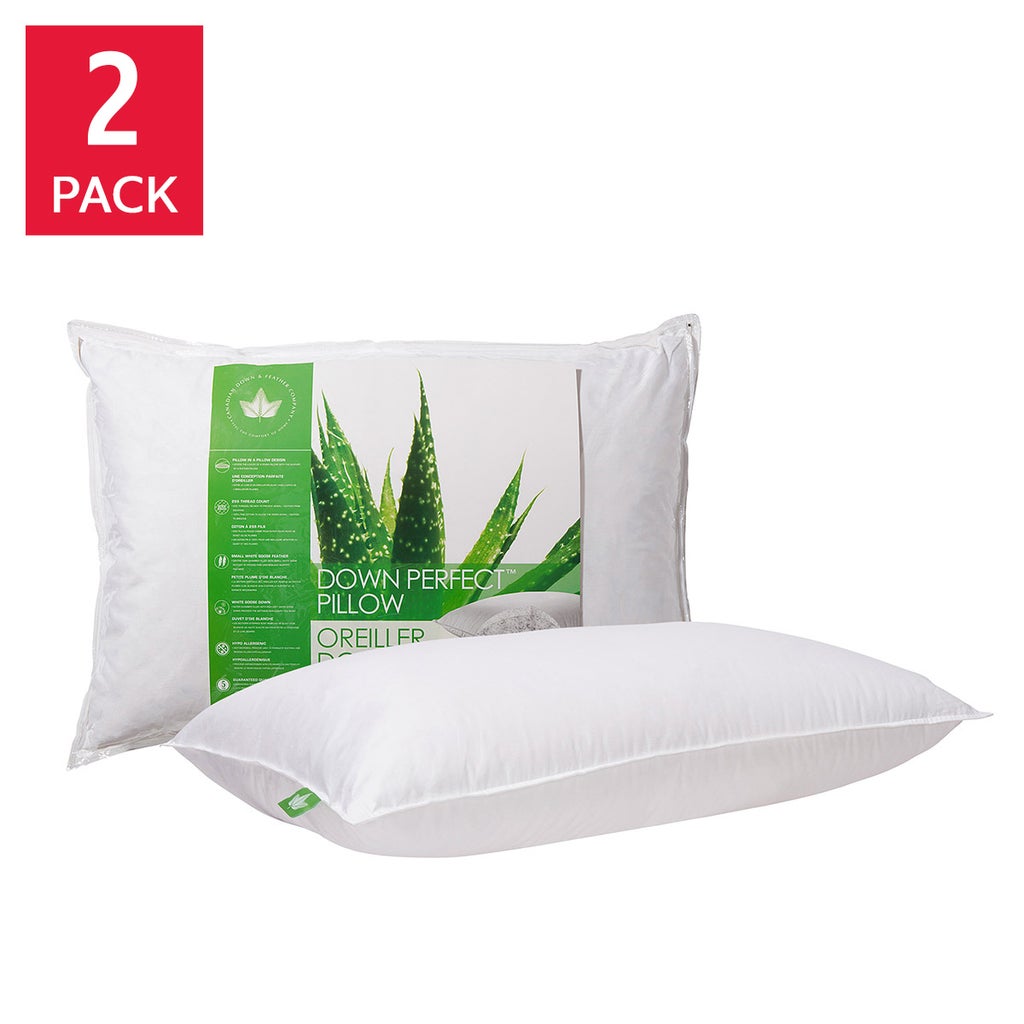 Canadian Down & Feather Company Down Perfect Pillow, 2-pack image 1